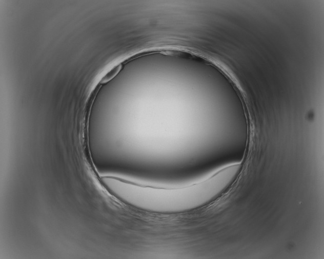 X0000116331101200912151300