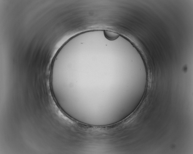 X0000116331102200912151300