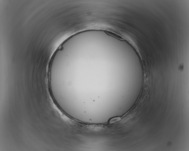 X0000116331103200912151300