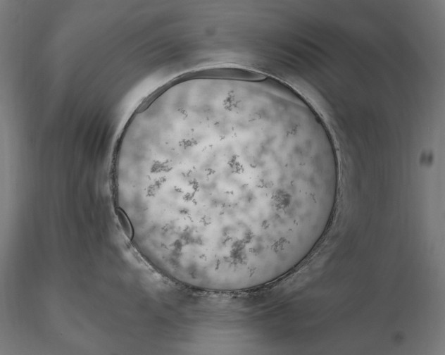 X0000116331104200912151300