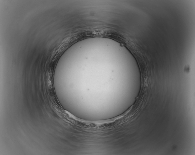 X0000116331106200912151259