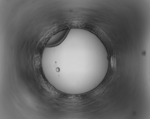 X0000116331107200912151259