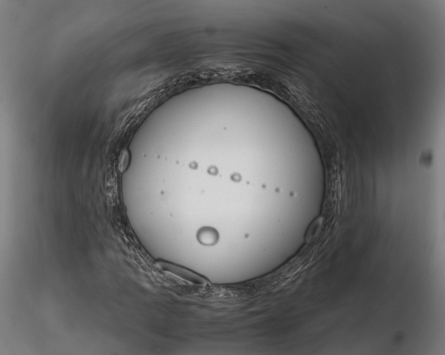 X0000116331109200912151259