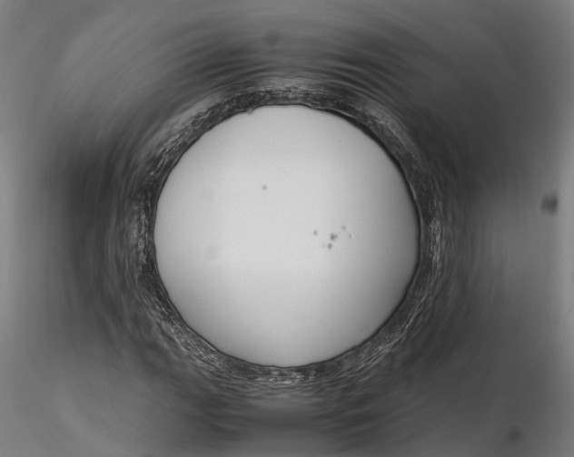 X0000116331111200912151259