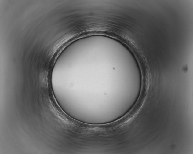 X0000116331113200912151259
