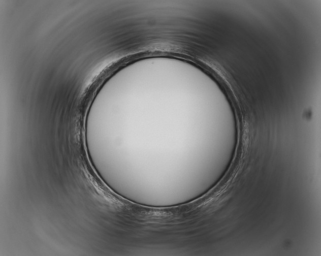 X0000116331115200912151259