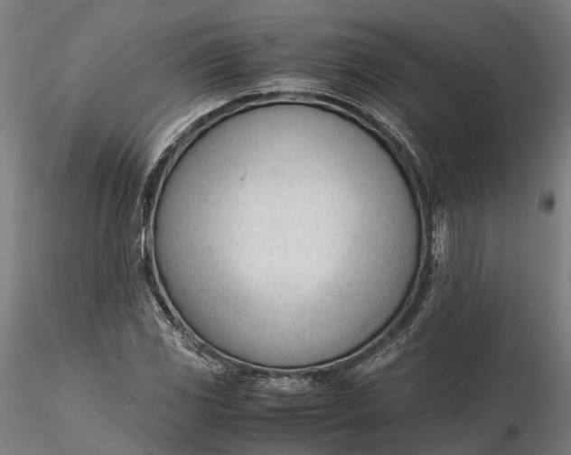 X0000116331117200912151259