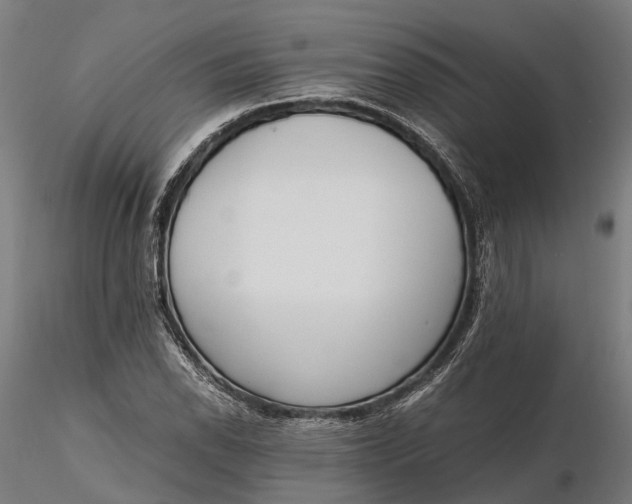 X0000116331118200912151259