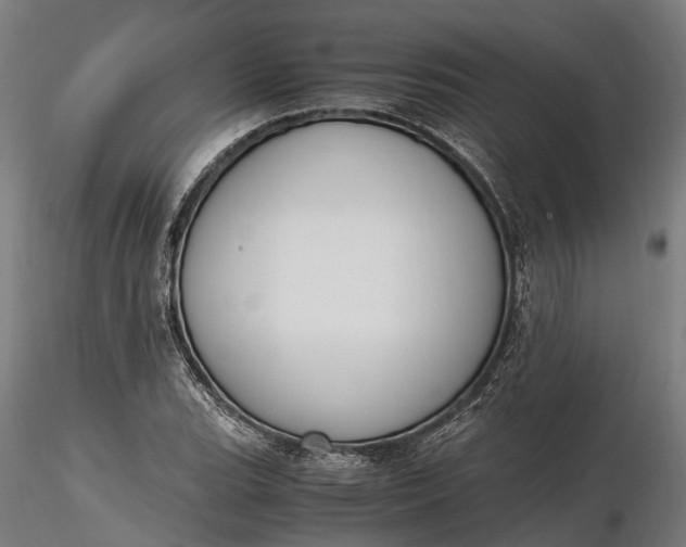 X0000116331119200912151259