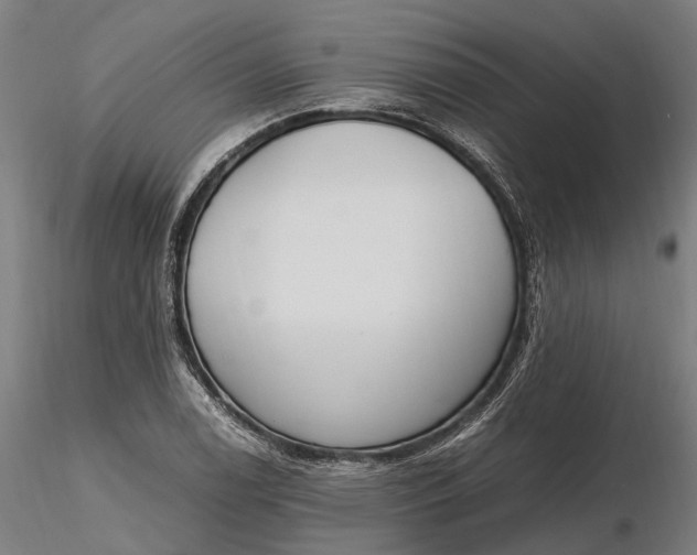 X0000116331122200912151259