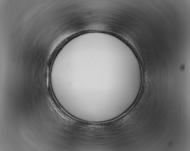 X0000116331123200912151259