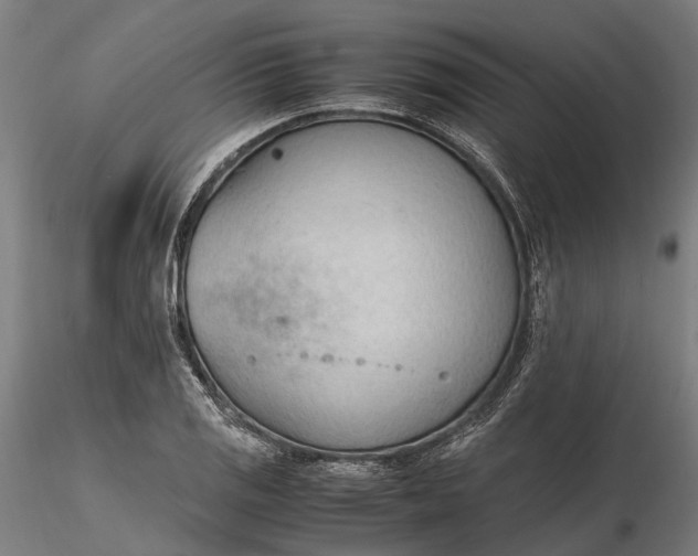 X0000116331125200912151259
