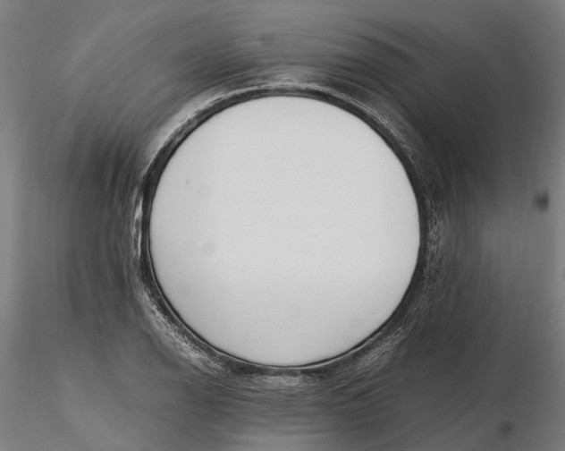 X0000116331126200912151259