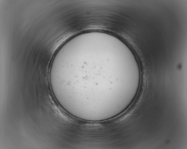X0000116331129200912151259