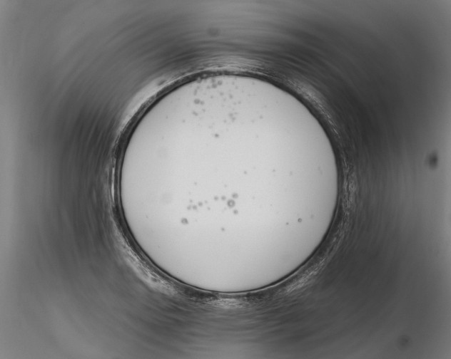 X0000116331130200912151259