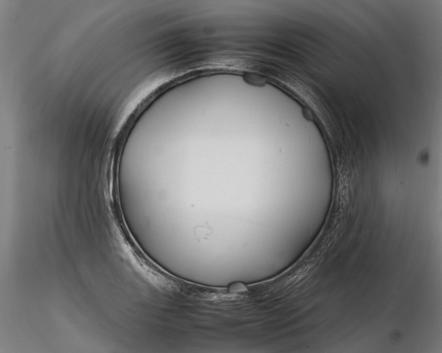 X0000116331131200912151259