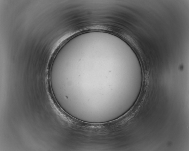 X0000116331133200912151259