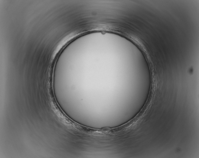 X0000116331138200912151259