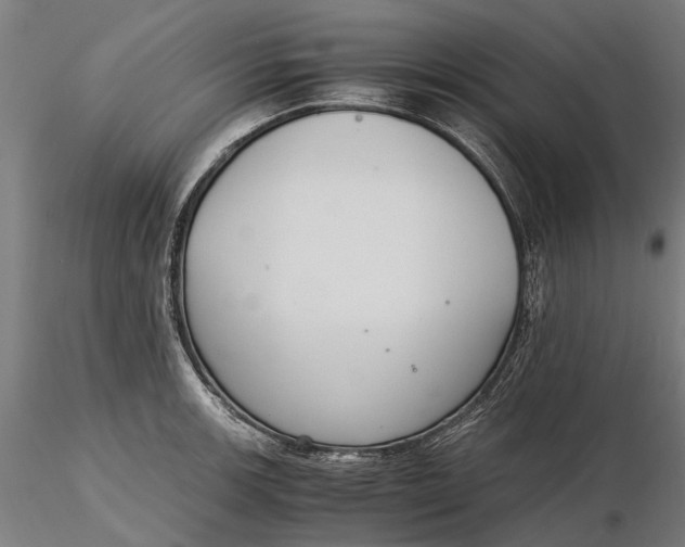 X0000116331139200912151300