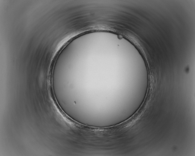 X0000116331141200912151300