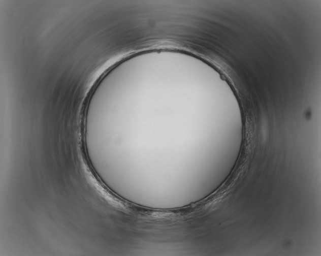 X0000116331142200912151300
