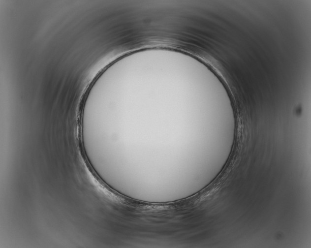 X0000116331143200912151300