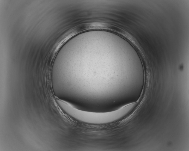 X0000116331145200912151300