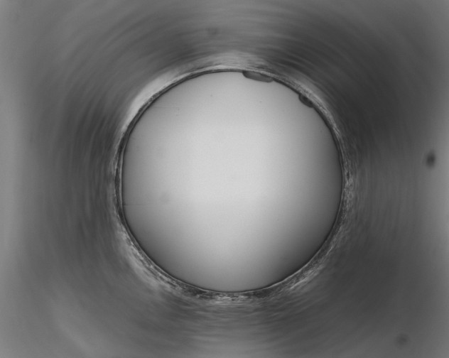 X0000116331146200912151300