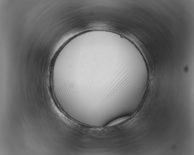X0000116331147200912151300