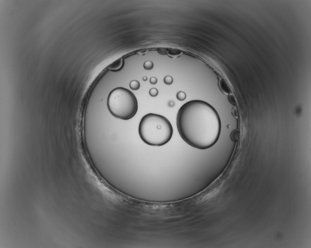 X0000116331149200912151300
