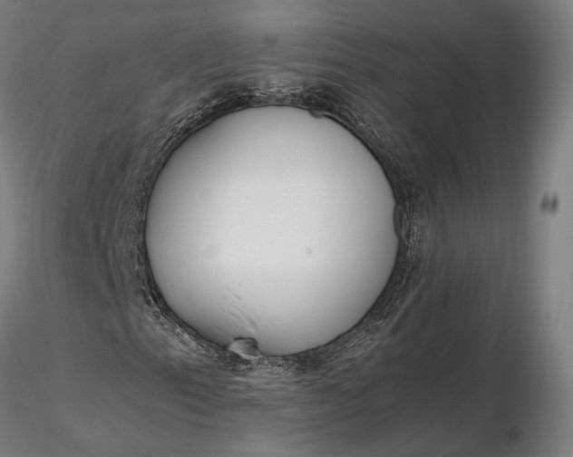 X0000116331153200912151259