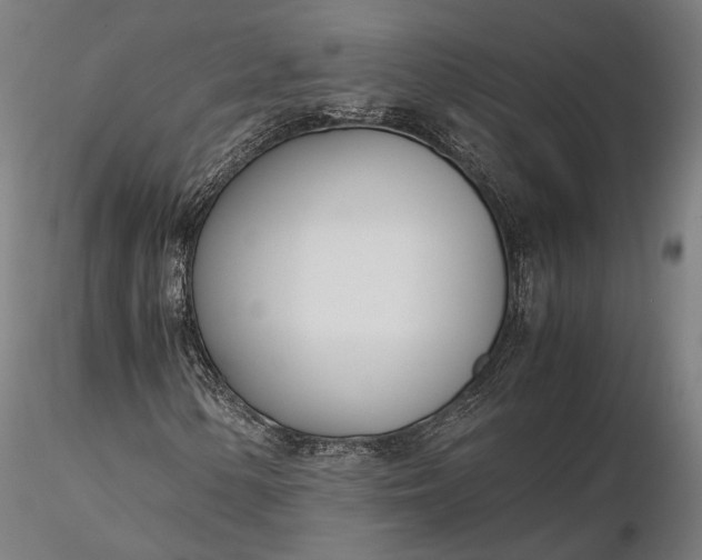 X0000116331154200912151259