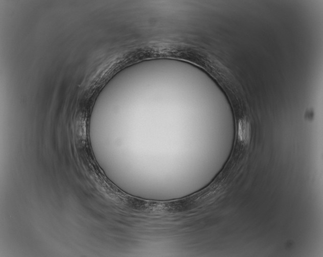 X0000116331155200912151259