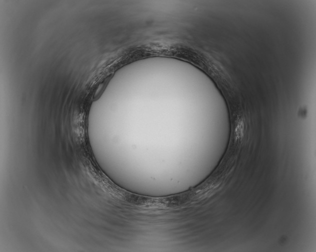 X0000116331156200912151259