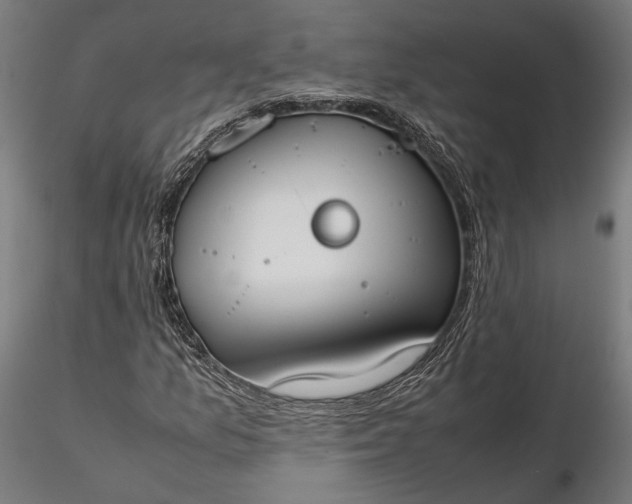 X0000116331157200912151259