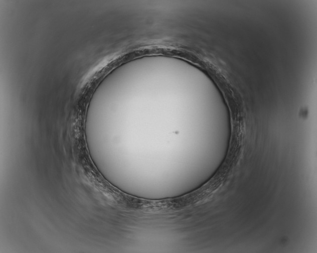X0000116331159200912151259