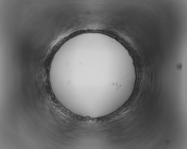 X0000116331160200912151259