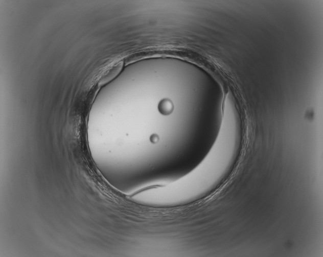 X0000116331161200912151259