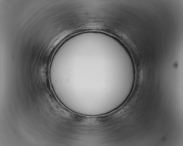 X0000116331162200912151259