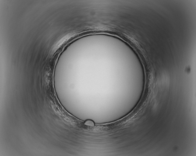 X0000116331163200912151259