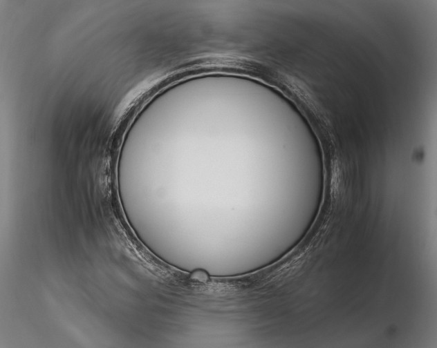 X0000116331164200912151259