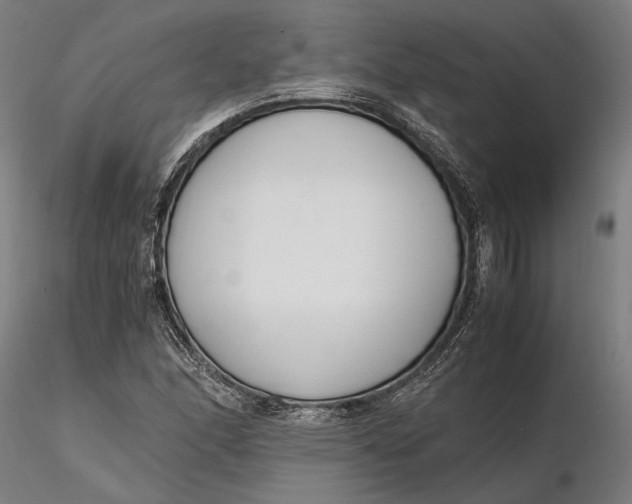 X0000116331166200912151259