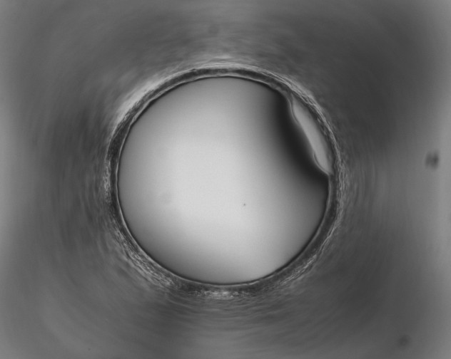 X0000116331167200912151259