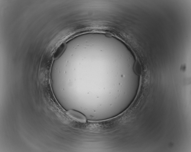 X0000116331169200912151259
