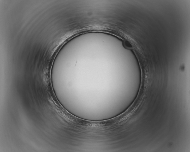 X0000116331170200912151259