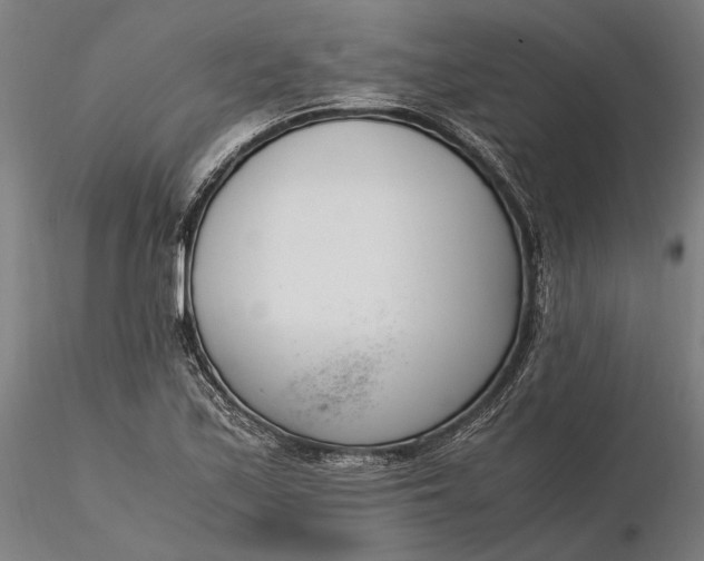 X0000116331171200912151259