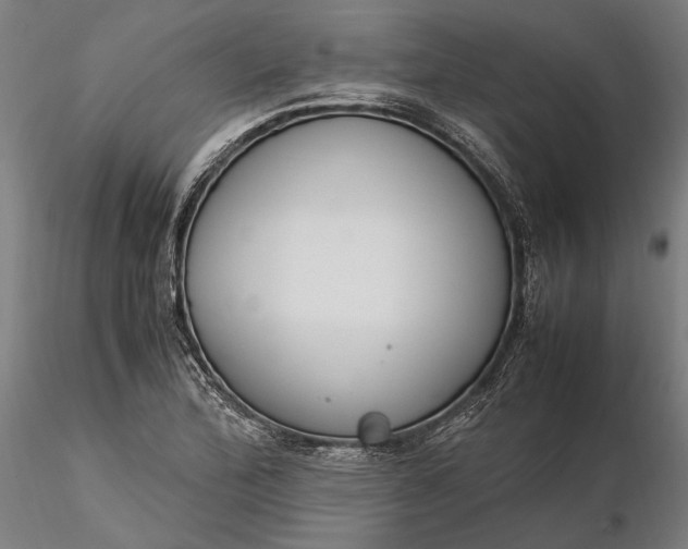 X0000116331172200912151259