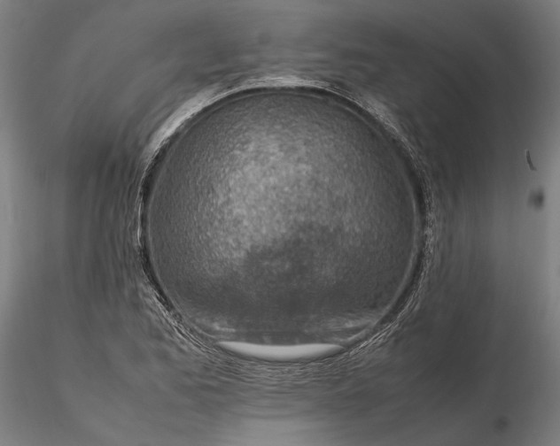 X0000116331173200912151259