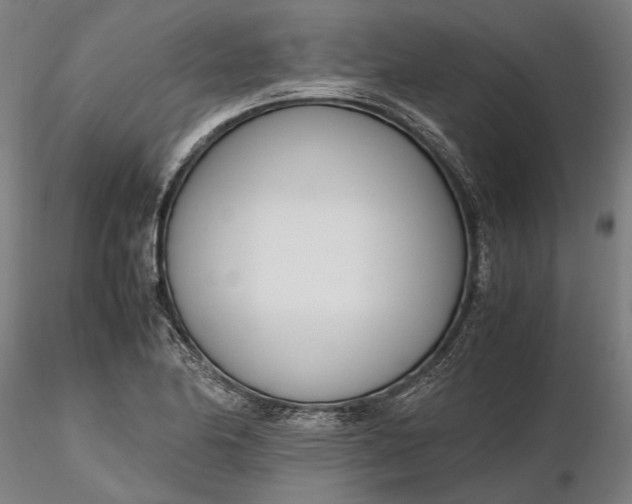 X0000116331174200912151259