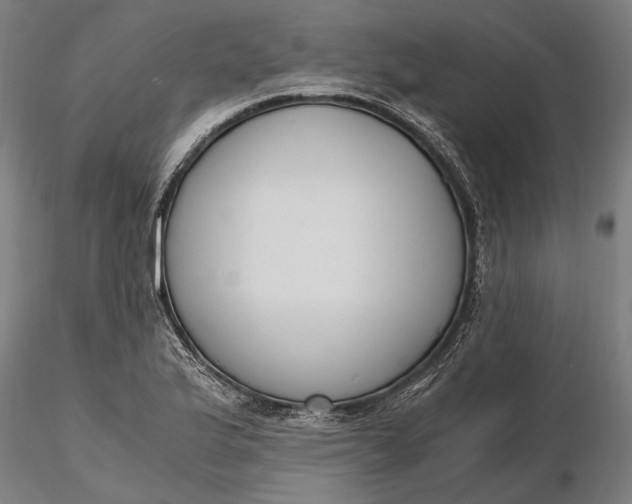 X0000116331175200912151259